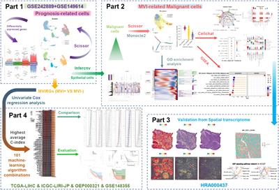 Multi-transcriptomics analysis of microvascular invasion-related malignant cells and development of a machine learning-based prognostic model in hepatocellular carcinoma